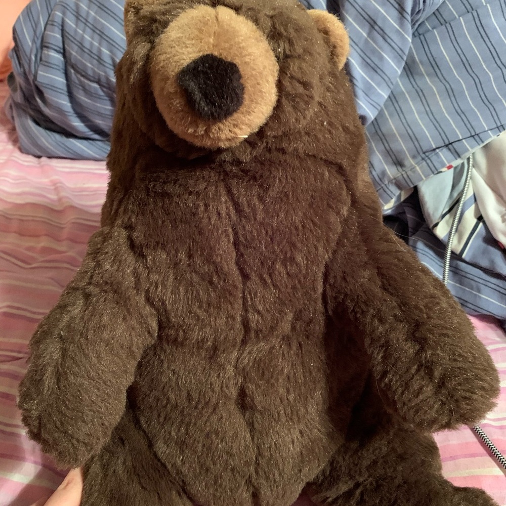 Bear plushie